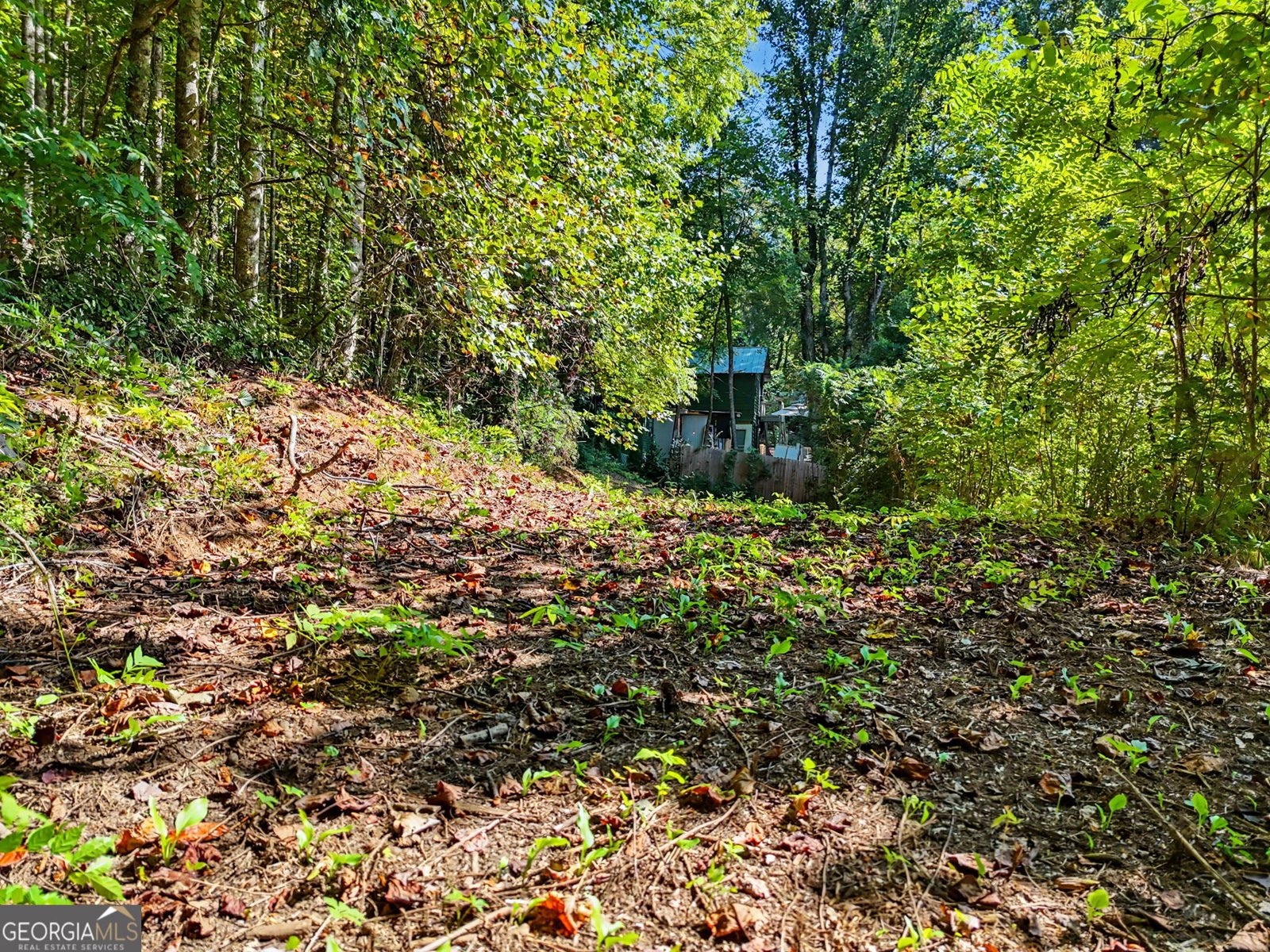 5093 Wolffork Road Rabun Gap - Photo 57