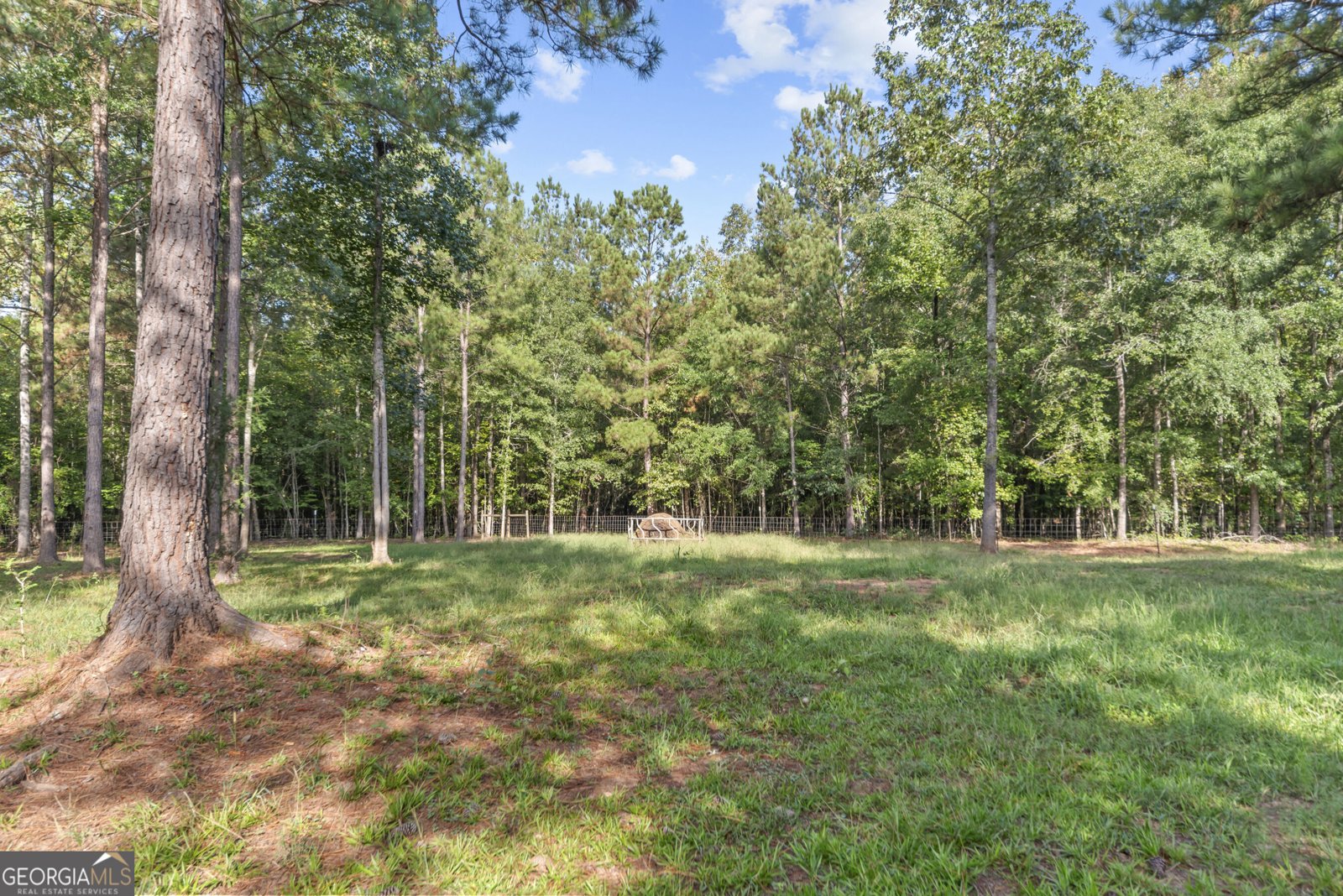 1250 Guinn Road Madison - Photo 38