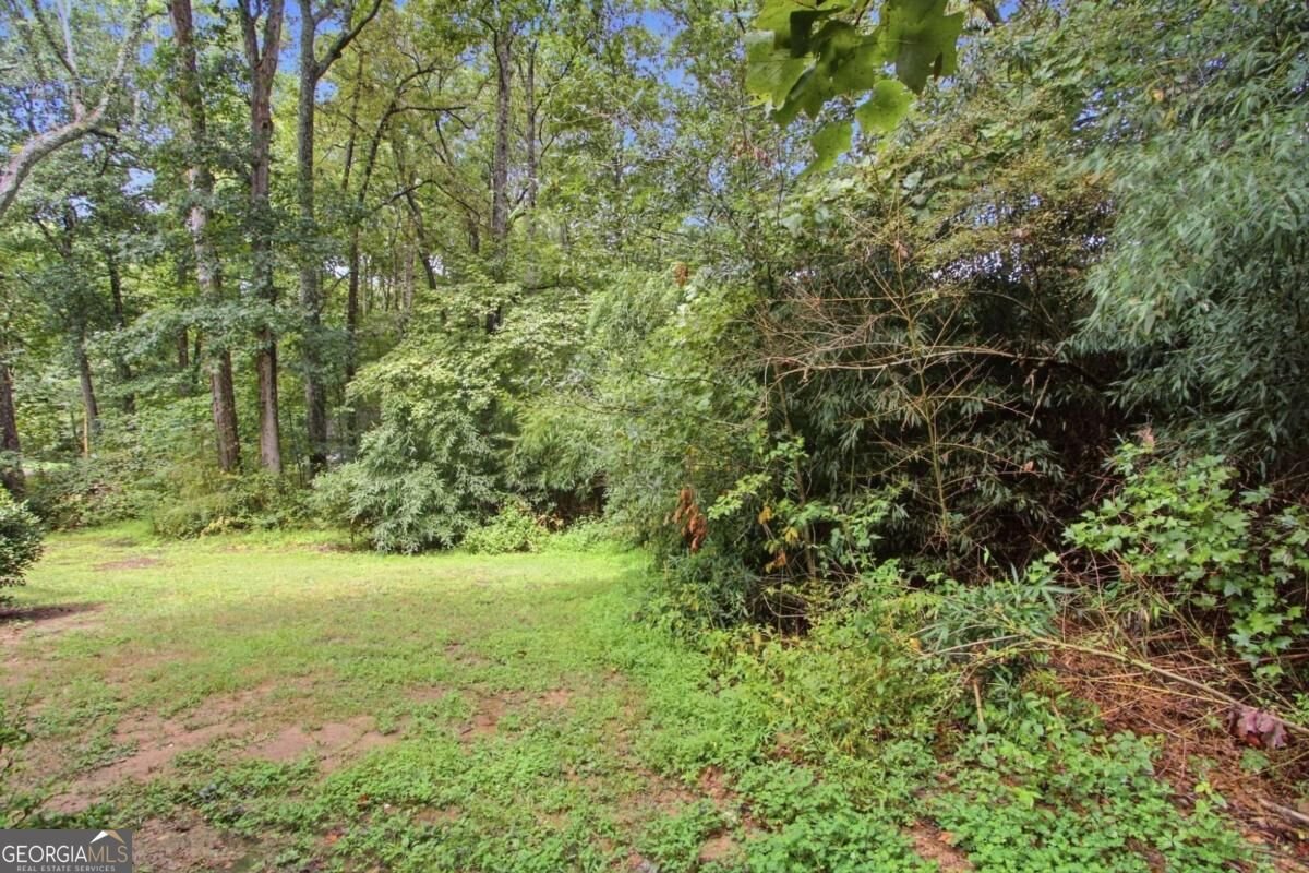 7280 Hollyhock Drive Douglasville - Photo 23