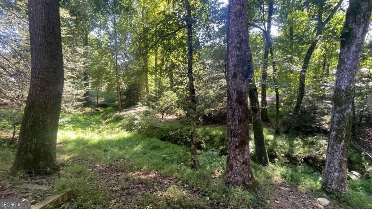 5755 Cedar Ridge Trail Cumming - Photo 23