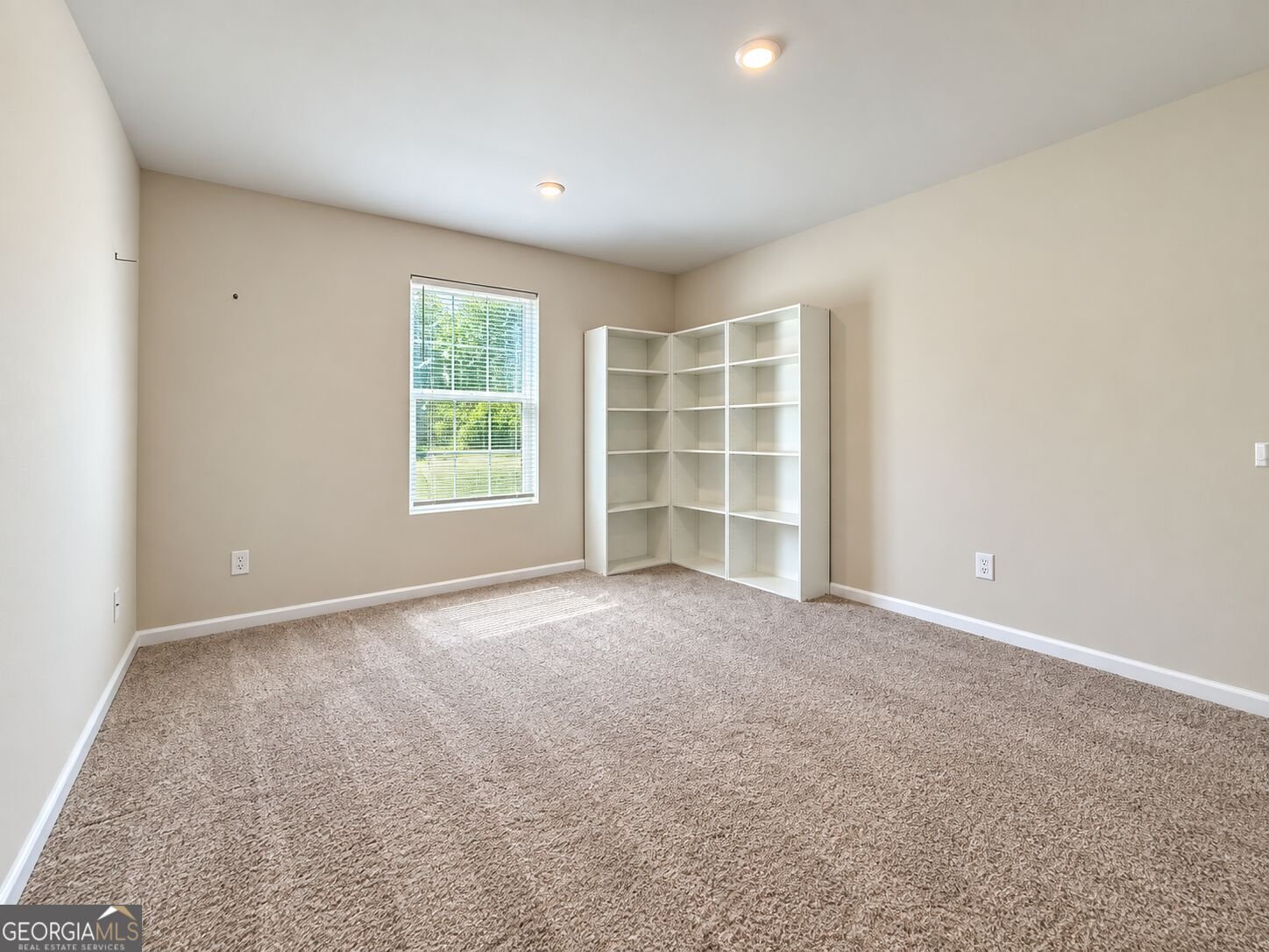 1419 Hunter Welch Parkway Luthersville - Photo 20