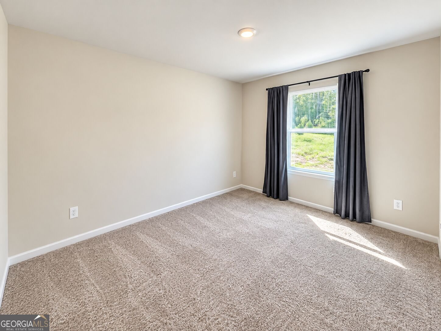 1419 Hunter Welch Parkway Luthersville - Photo 21