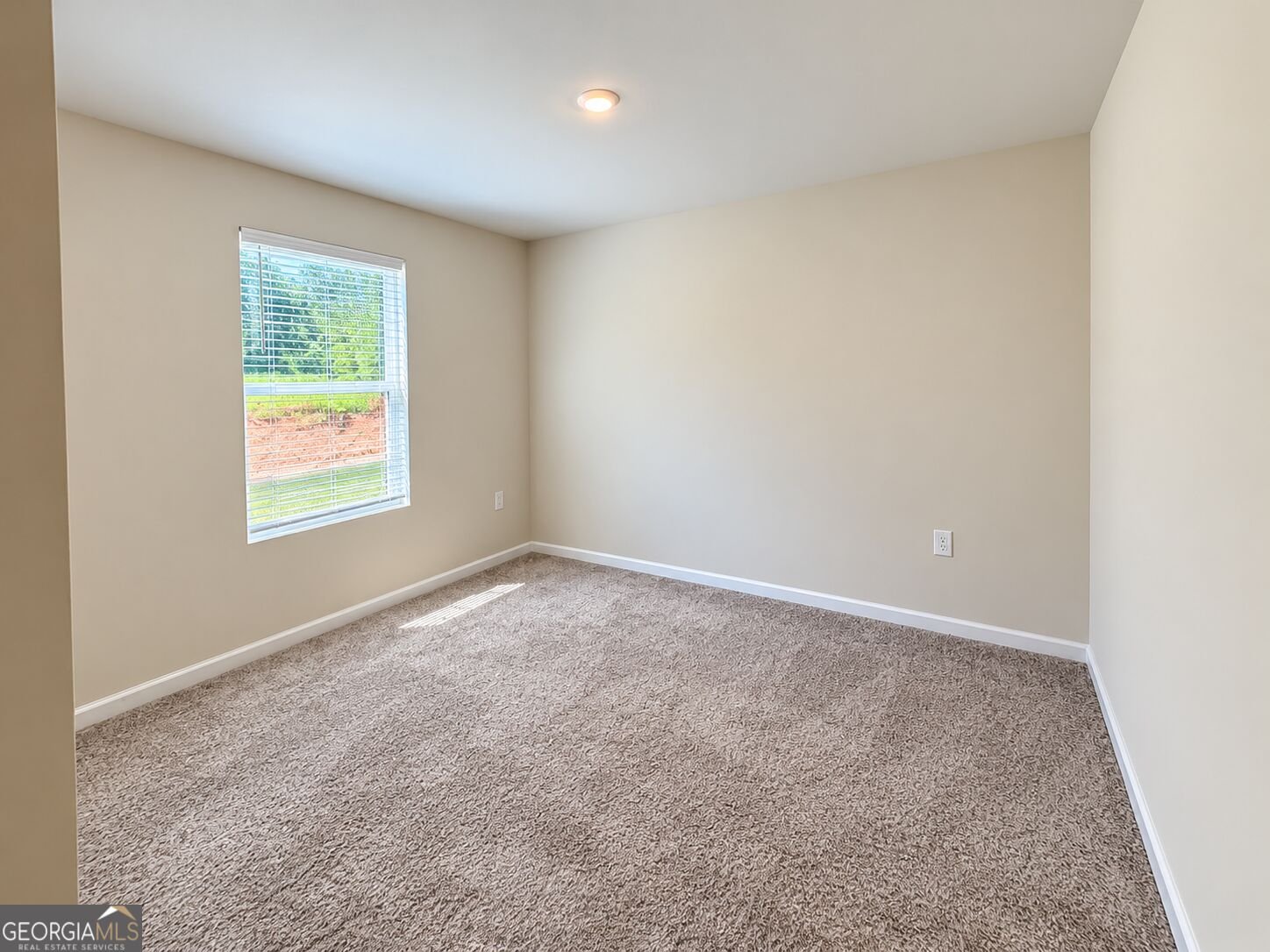 1419 Hunter Welch Parkway Luthersville - Photo 22