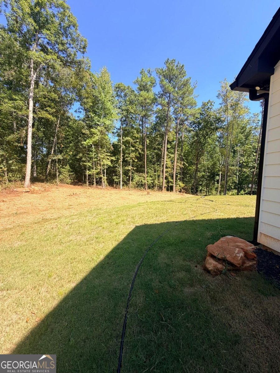 1020 Oakridge Drive Griffin - Photo 36
