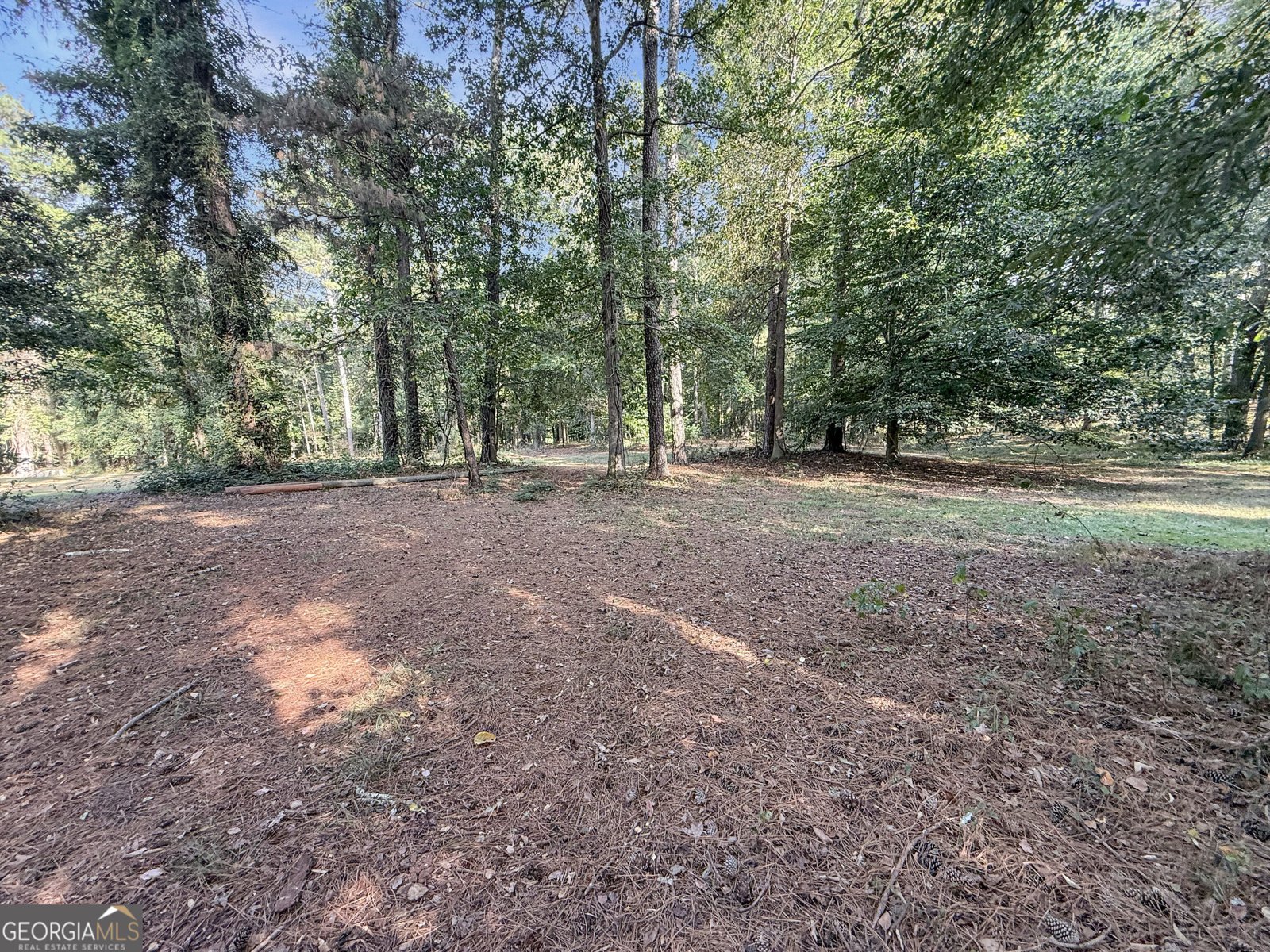 161 Lanier Lane Crawford - Photo 55