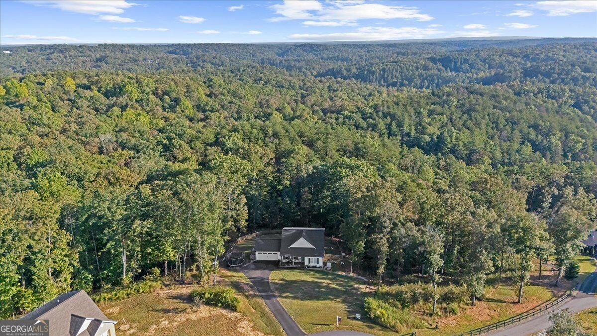 430 Silas Road Dahlonega - Photo 58