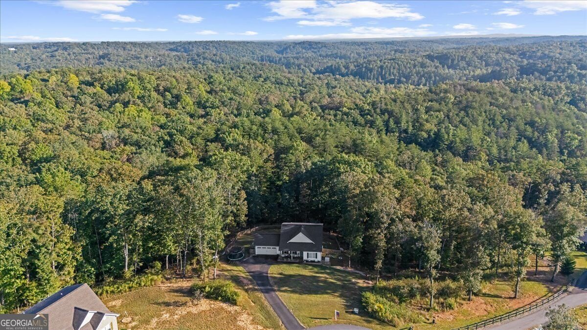 430 Silas Road Dahlonega - Photo 59