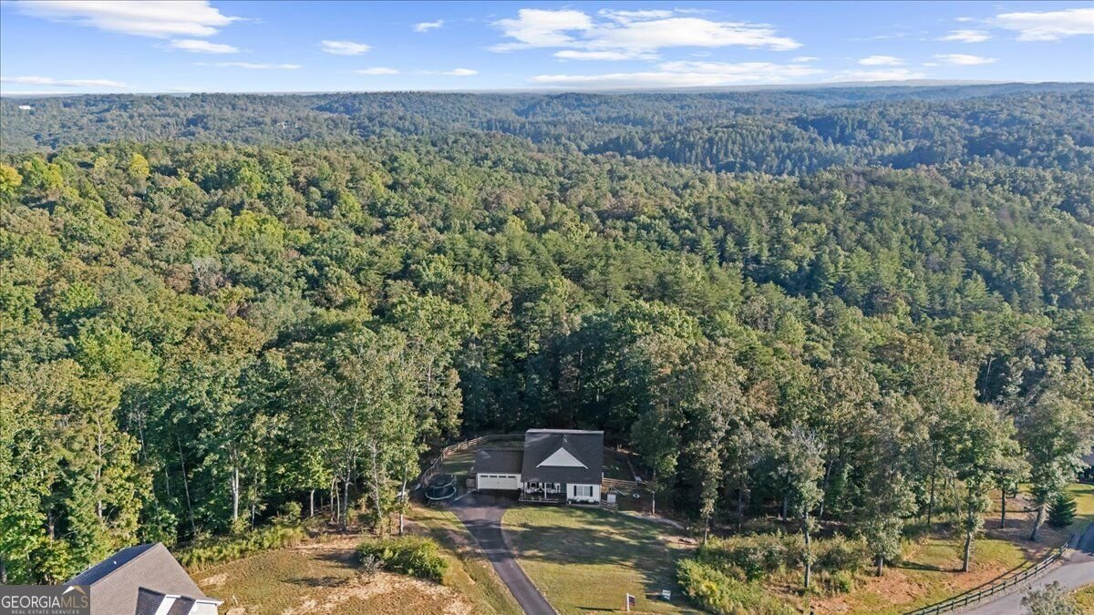 430 Silas Road Dahlonega - Photo 60