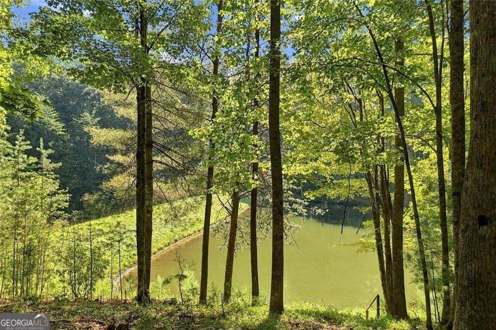 96 Clubhouse Court Ellijay - Photo 30