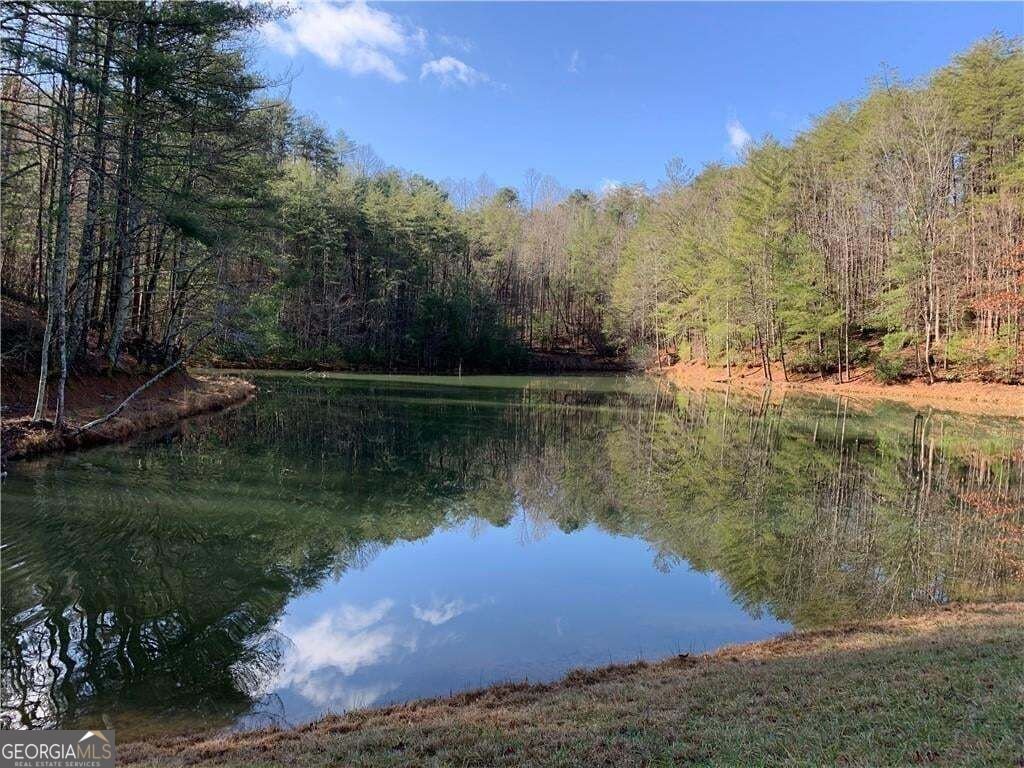 96 Clubhouse Court Ellijay - Photo 35