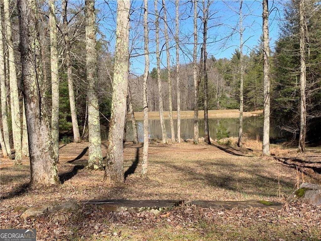 96 Clubhouse Court Ellijay - Photo 36