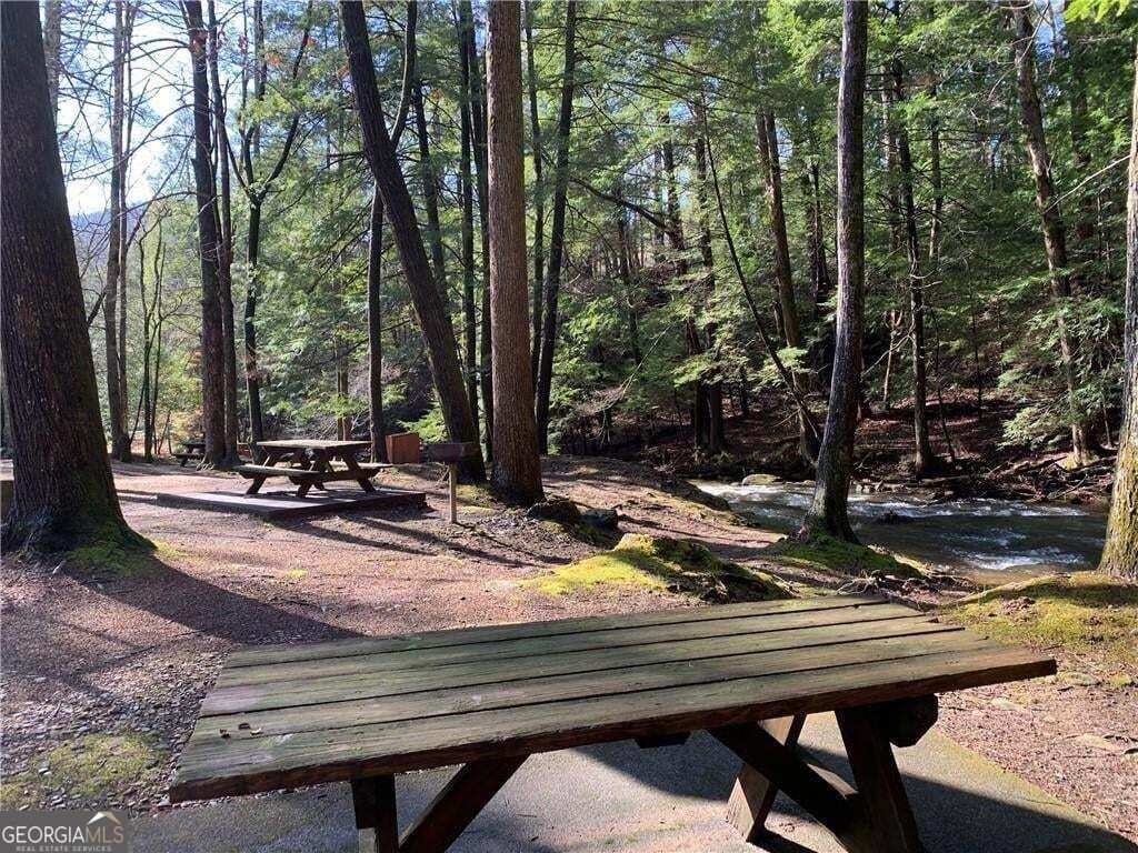 96 Clubhouse Court Ellijay - Photo 42