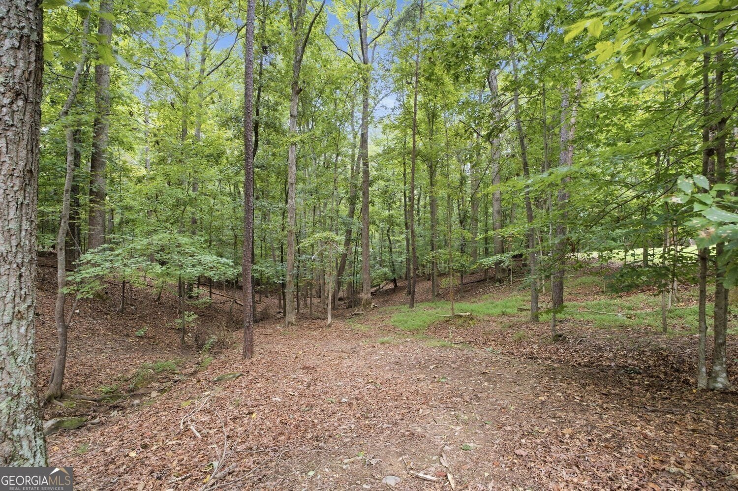 4705 River Drive Cumming - Photo 47