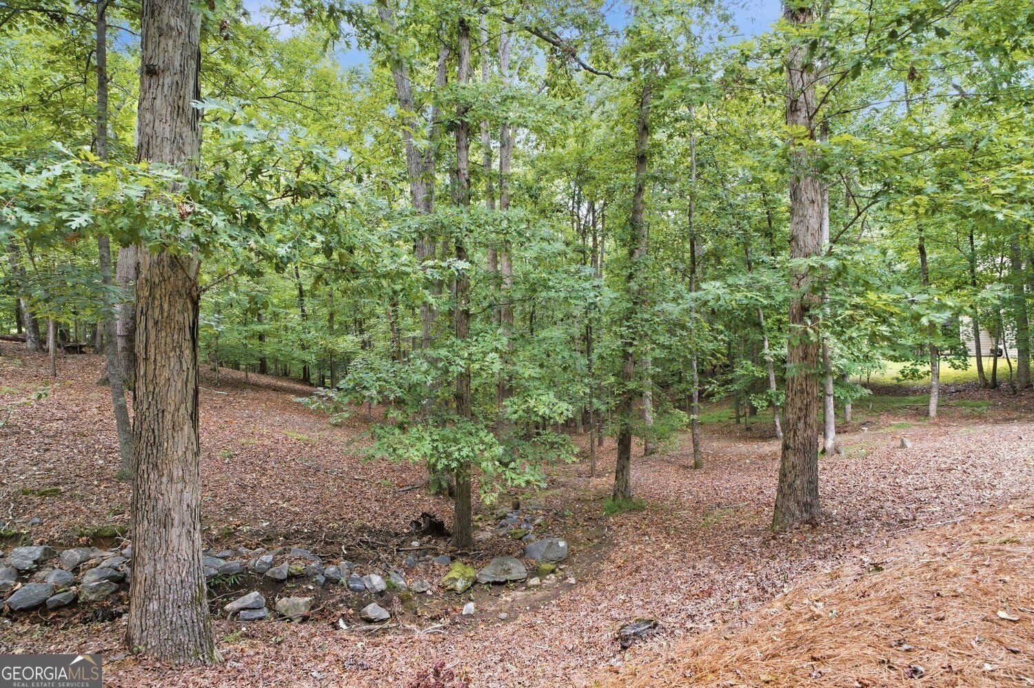 4705 River Drive Cumming - Photo 50