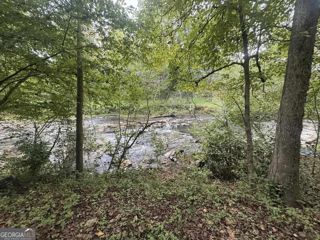 3744 Tails Creek Road Ellijay - Photo 12