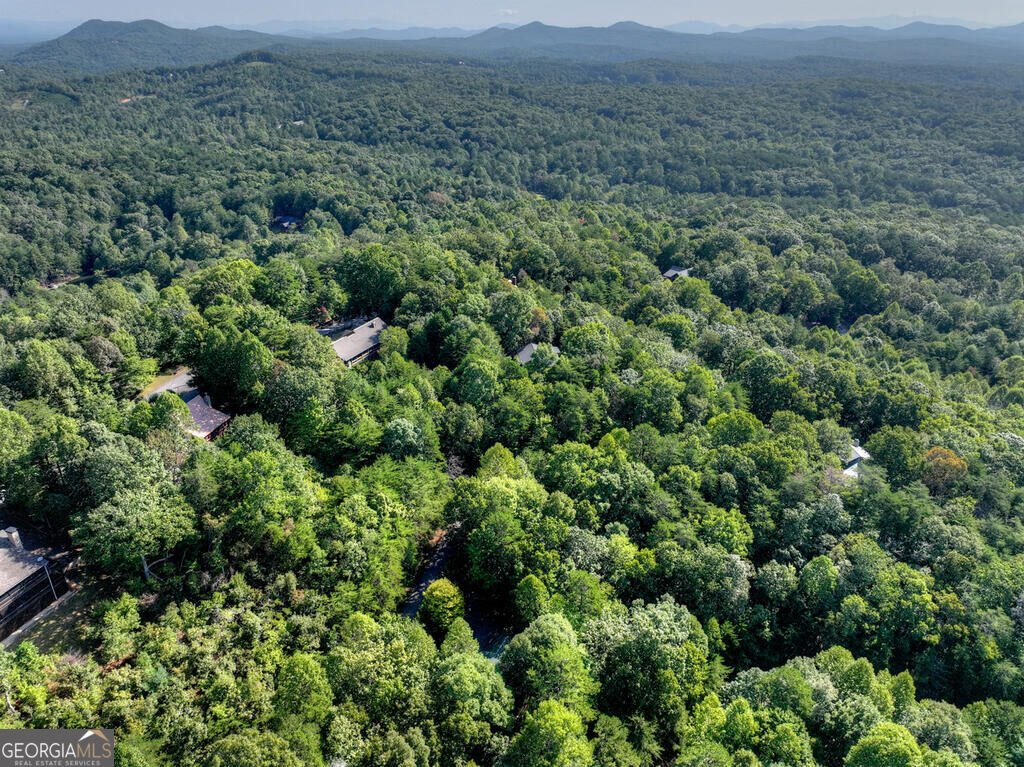 255 Blue Ridge Trails Morganton - Photo 36