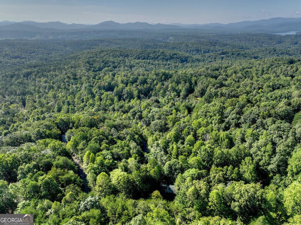 255 Blue Ridge Trails Morganton - Photo 46