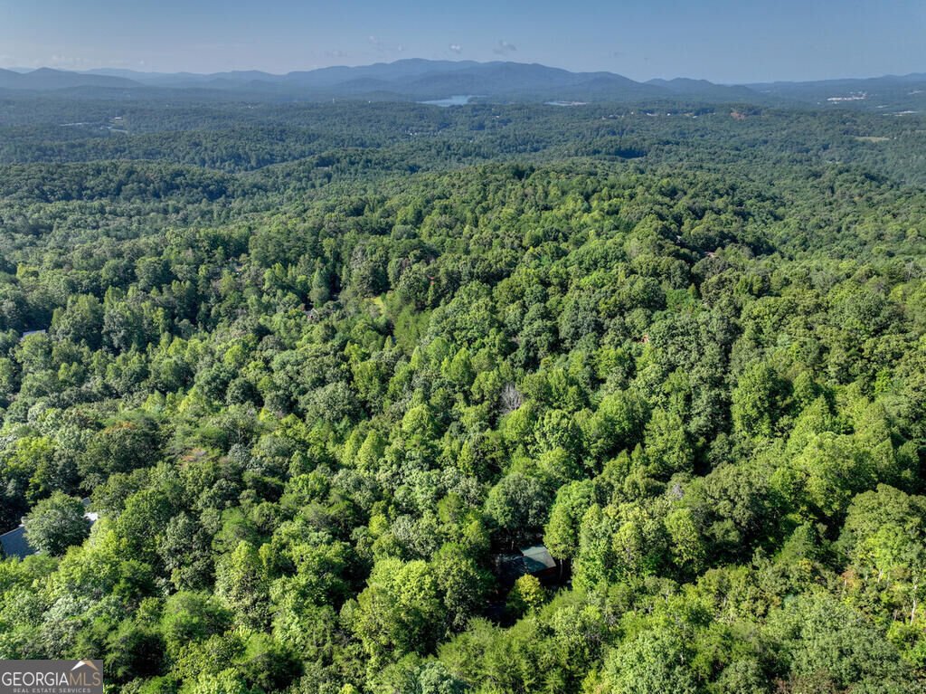 255 Blue Ridge Trails Morganton - Photo 47
