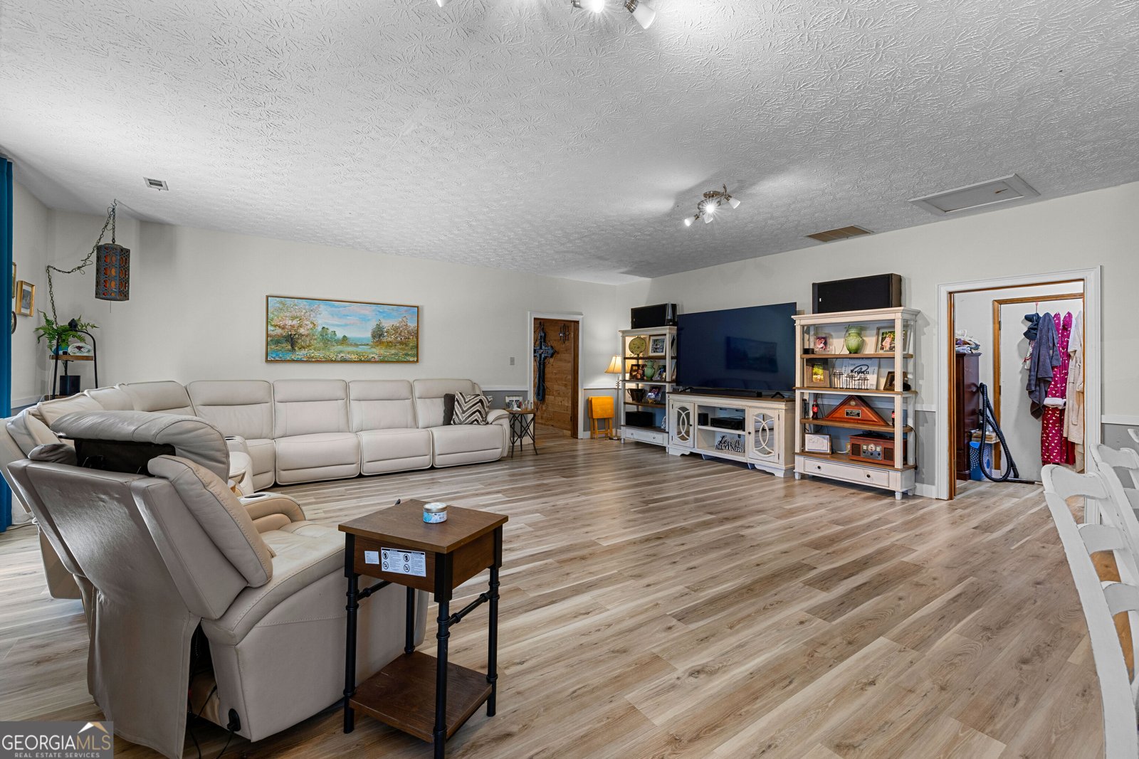 352 Mcintosh Trail Senoia - Photo 29