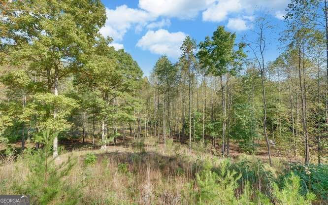 349 Old Ferguson Town Road Hiawassee - Photo 10