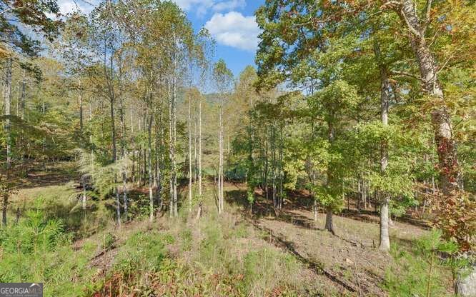 349 Old Ferguson Town Road Hiawassee - Photo 11