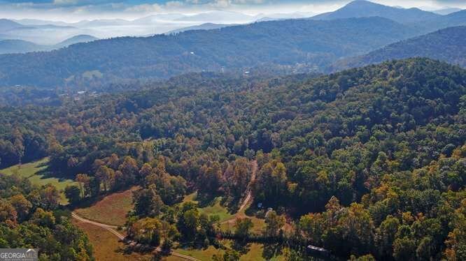 349 Old Ferguson Town Road Hiawassee - Photo 13