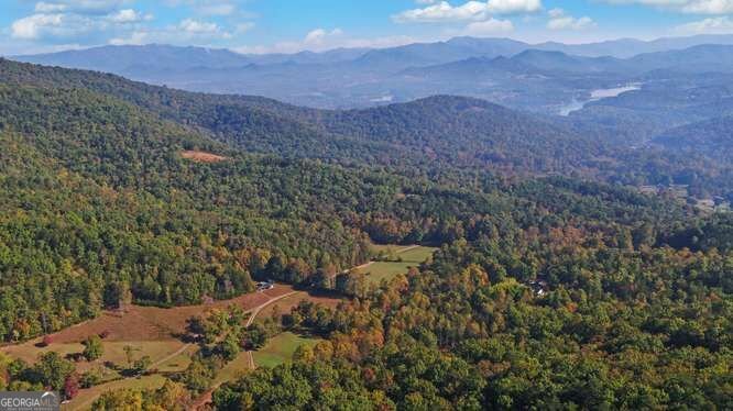 349 Old Ferguson Town Road Hiawassee - Photo 15