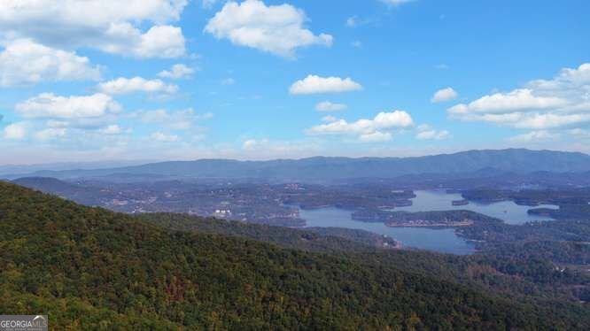 349 Old Ferguson Town Road Hiawassee - Photo 17