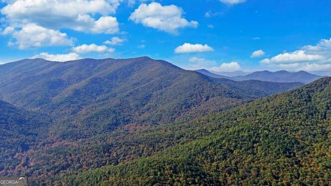 349 Old Ferguson Town Road Hiawassee - Photo 20