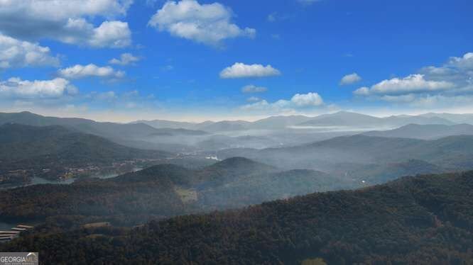 349 Old Ferguson Town Road Hiawassee - Photo 22