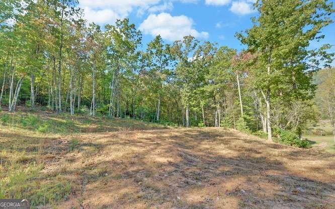 349 Old Ferguson Town Road Hiawassee - Photo 8