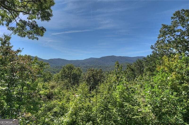 300 Cloudland Trace Epworth - Photo 28