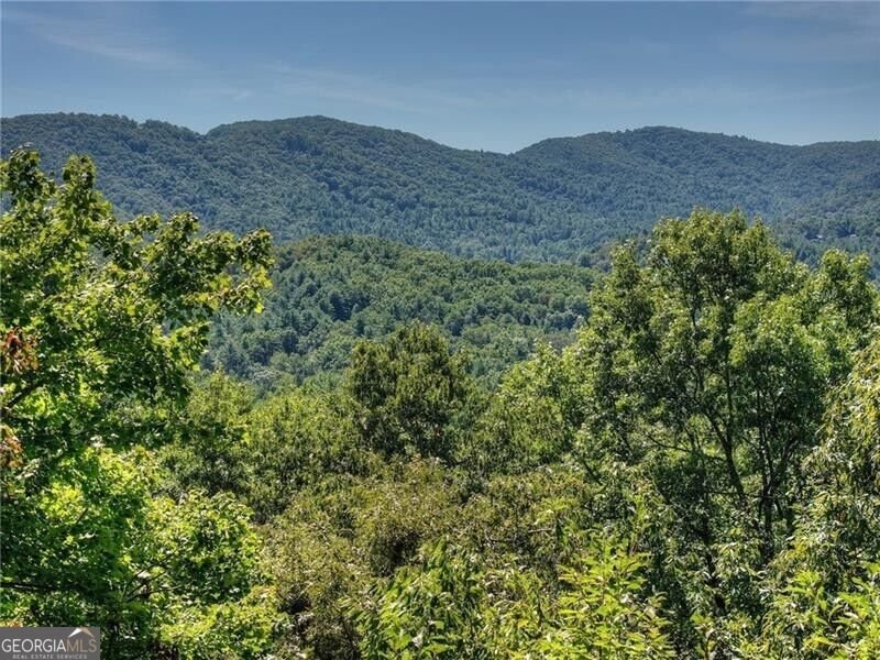 300 Cloudland Trace Epworth - Photo 51