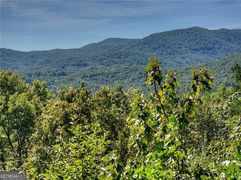 300 Cloudland Trace Epworth - Photo 52