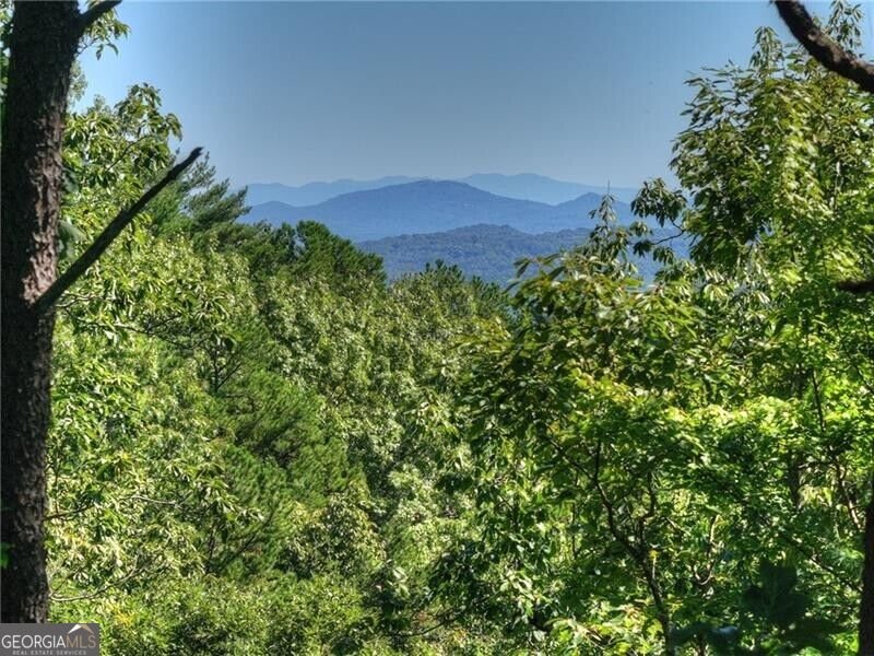 300 Cloudland Trace Epworth - Photo 53