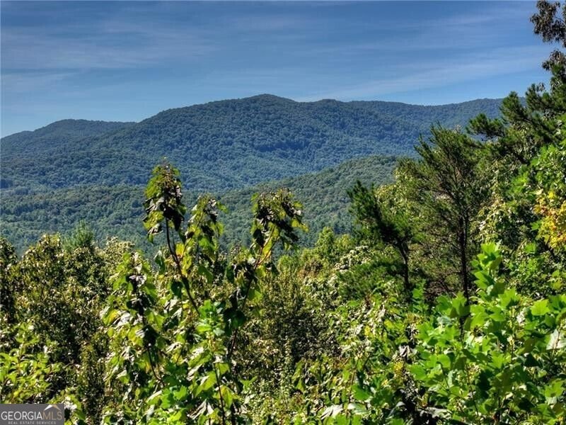 300 Cloudland Trace Epworth - Photo 59