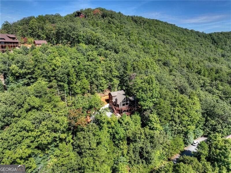 300 Cloudland Trace Epworth - Photo 61