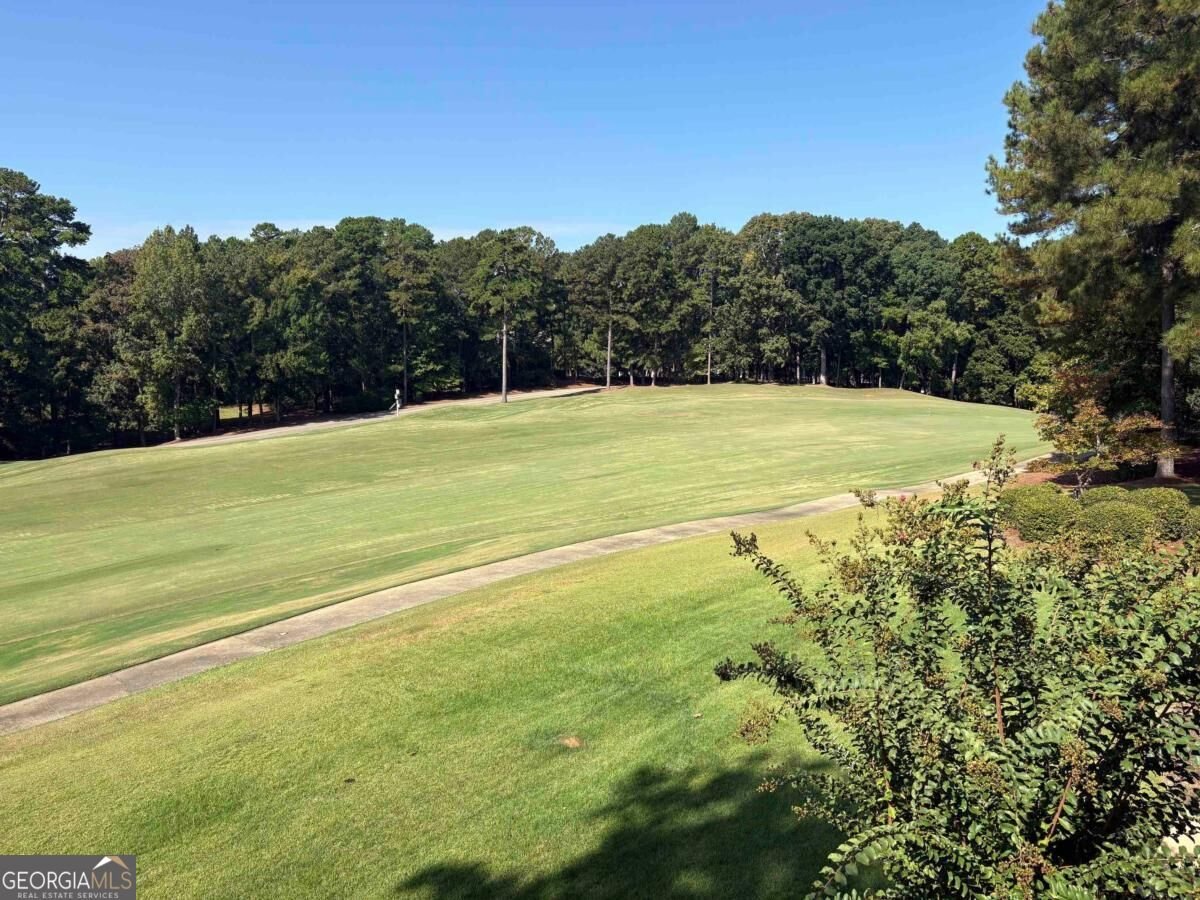 1061 Kimbrough Hill Drive Greensboro - Photo 48