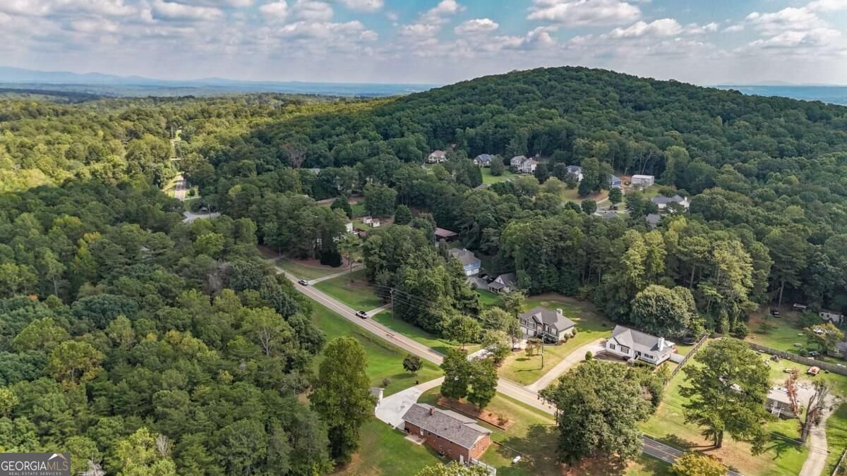360 Lower Burris Road Canton - Photo 50