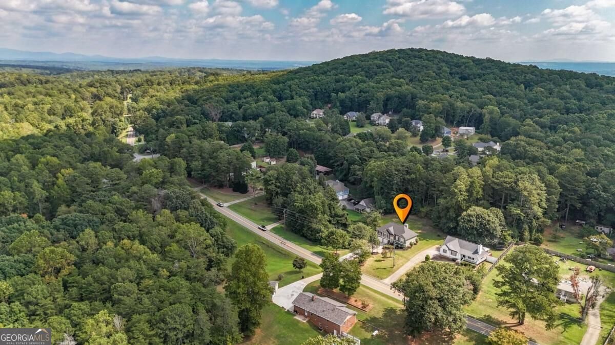 360 Lower Burris Road Canton - Photo 51