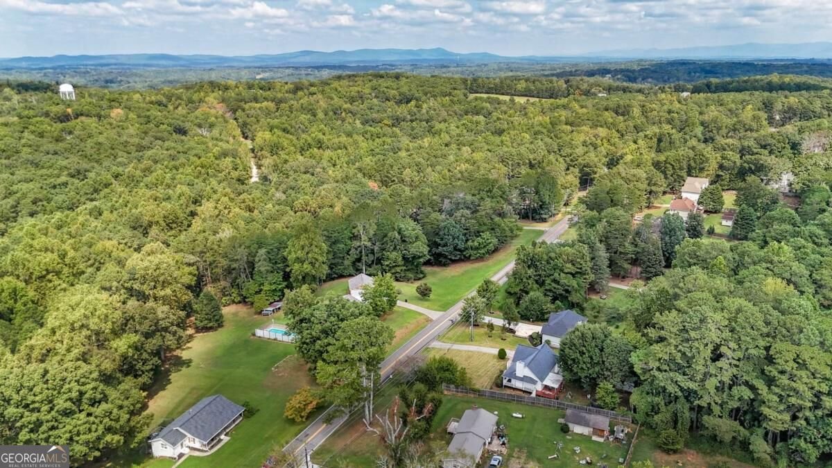 360 Lower Burris Road Canton - Photo 52