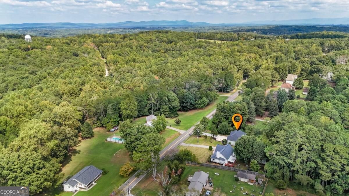 360 Lower Burris Road Canton - Photo 53