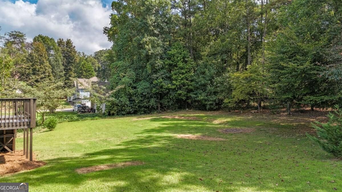 360 Lower Burris Road Canton - Photo 59