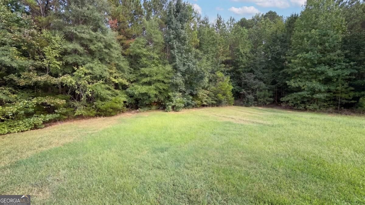 114 Beaty Court Flovilla - Photo 18