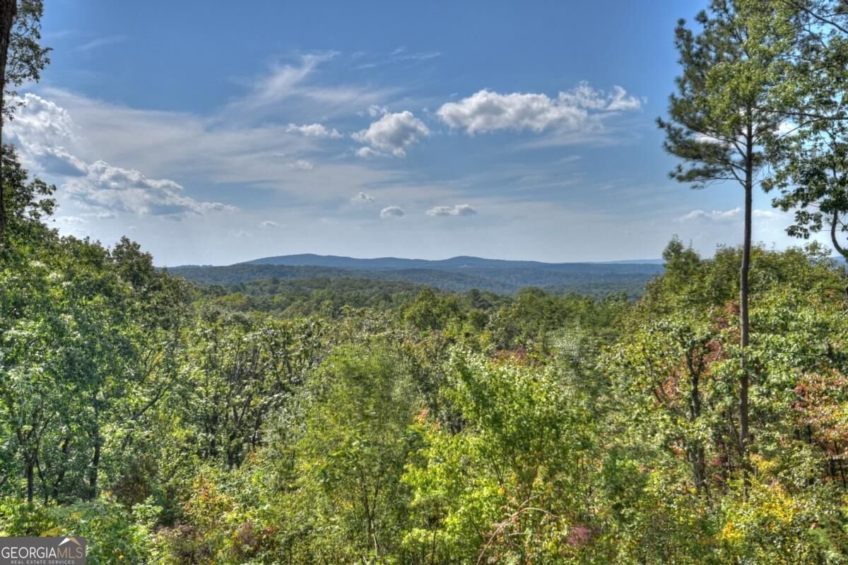 1072 Heatherwood Way Talking Rock - Photo 45