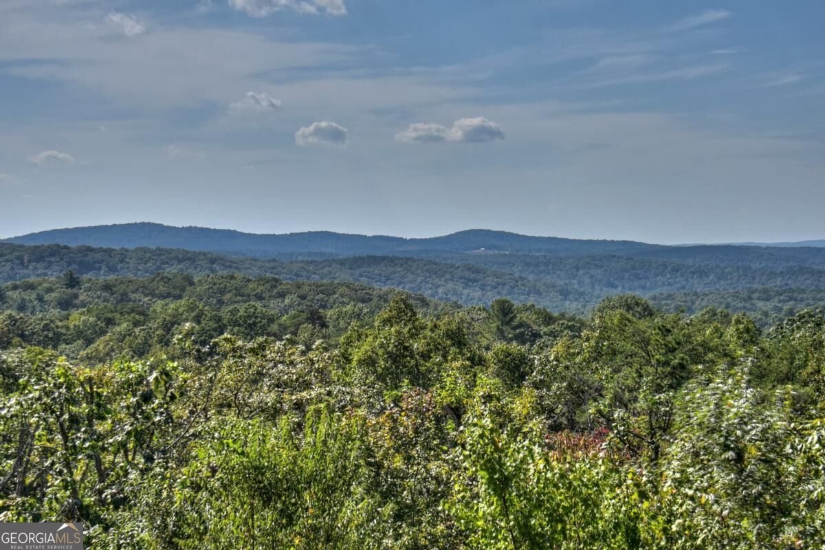 1072 Heatherwood Way Talking Rock - Photo 46