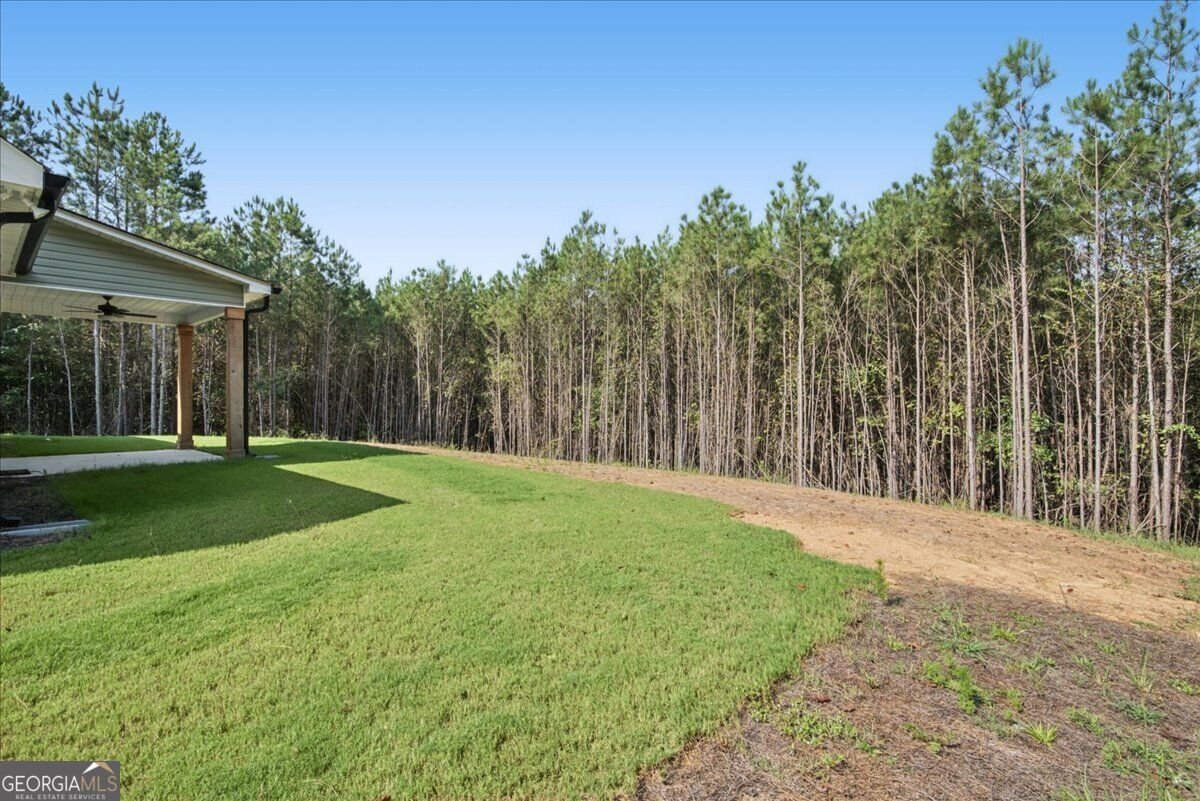 466 Mount Zion Church Road Tallapoosa - Photo 34