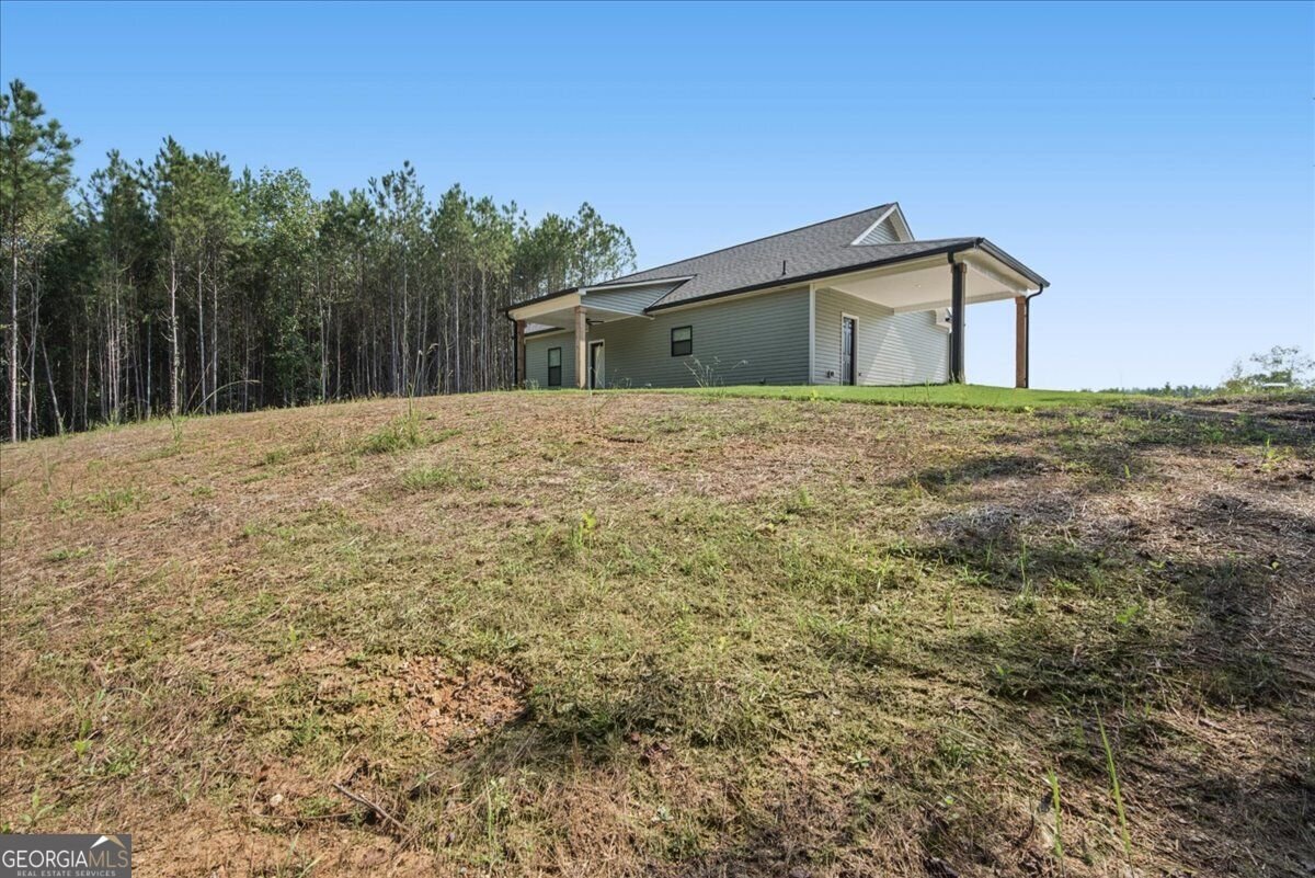 466 Mount Zion Church Road Tallapoosa - Photo 35