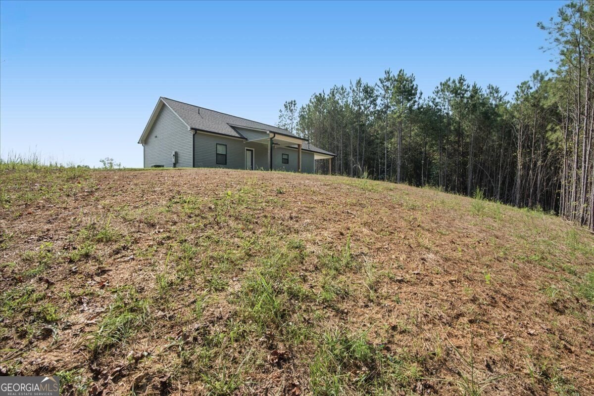 466 Mount Zion Church Road Tallapoosa - Photo 36