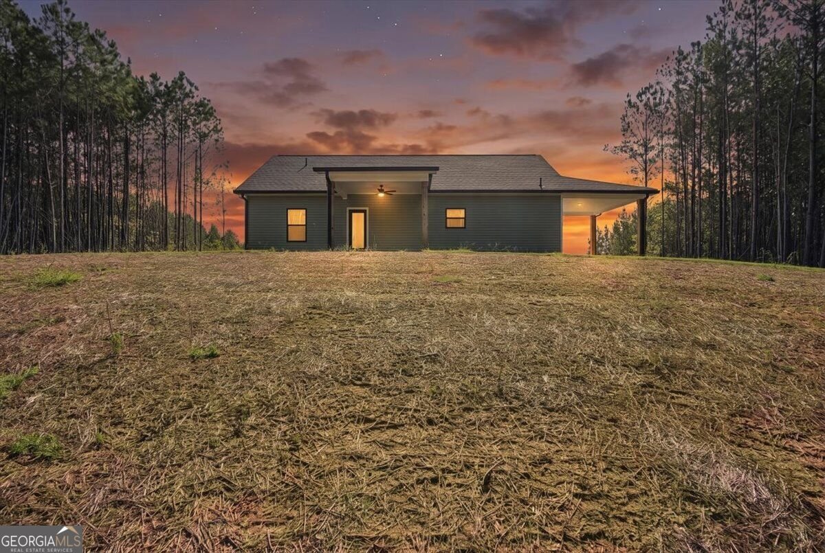 466 Mount Zion Church Road Tallapoosa - Photo 37